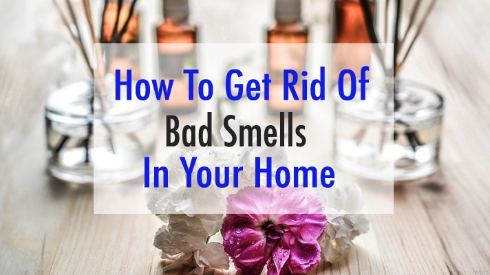 How to Get Rid of Bad Smell in House (DIY Methods)